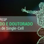 CEPID BRAINN - bolsa fapesp mestrado doutorado - genomica single cell