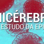 CEPID BRAINN - divulgacao - minicerebros no estudo da epilepsia