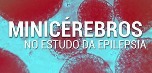 CEPID BRAINN - divulgacao - minicerebros no estudo da epilepsia