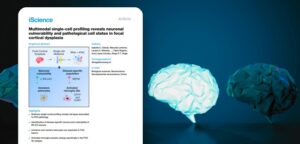 CEPID BRAINN - Blog - genômica de células únicas para estudar a displasia cortical focal - capa2